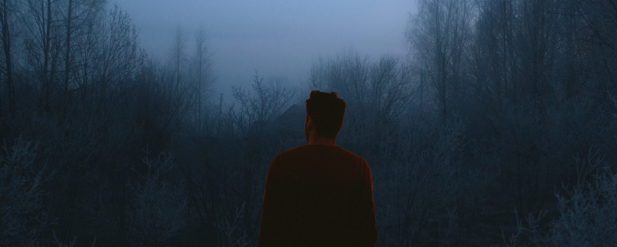 Silhouette of boy in the woods